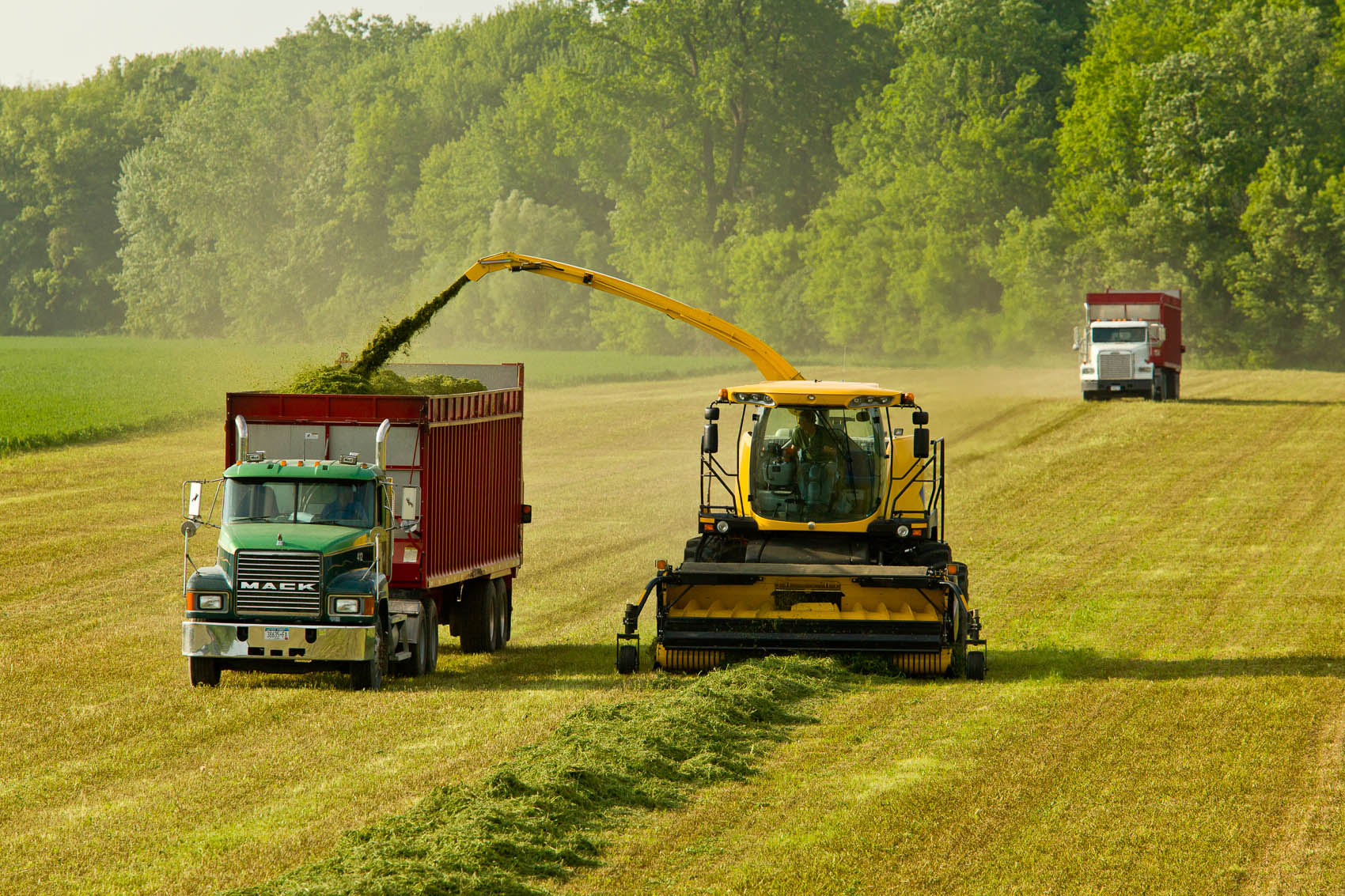 New Holland FR9080 Forage Harvestor | J. Eldon Zimmerman Photography | Lancaster, PA Agriculture Photographer