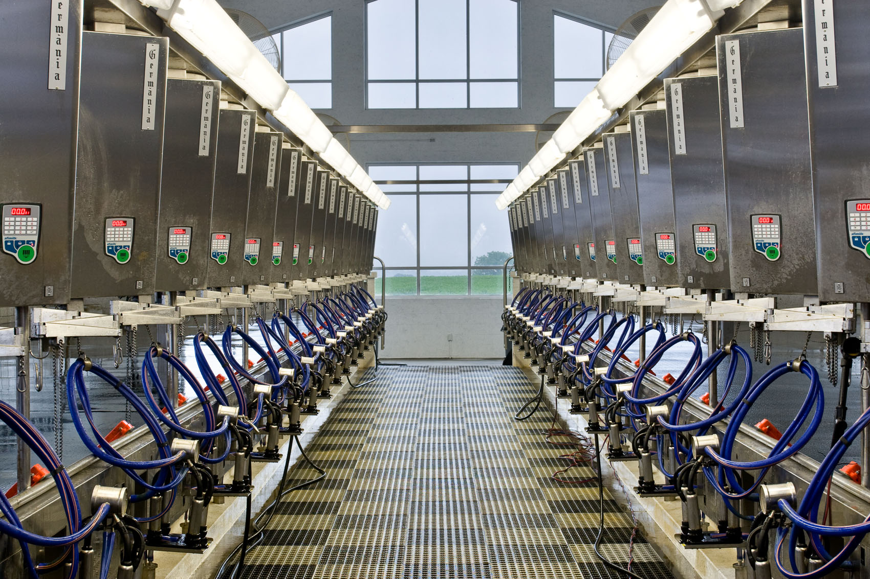 Germania Milking Parlor with AfiMilk Cabinets and Milk Meters at Meadow Lane Dairy Farm in Lancaster, PA | J. Eldon Zimmerman Photography | Lancaster, PA Agriculture Photographer