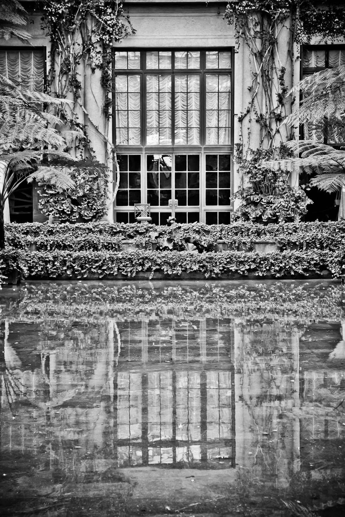 Architecture Feature in the Conservatory at Longwood Gardens in Kennet Square, PA | J. Eldon Zimmerman Photography | Lancaster, PA Commercial Photographer